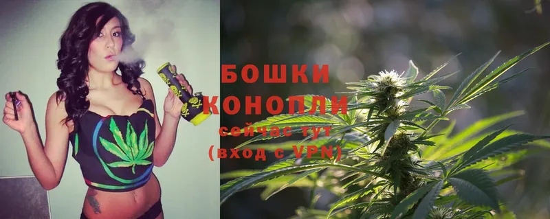 купить закладку  Родники  Бошки марихуана SATIVA & INDICA 